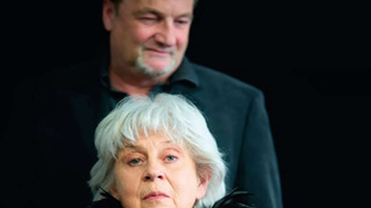 Besuch der alten Dame